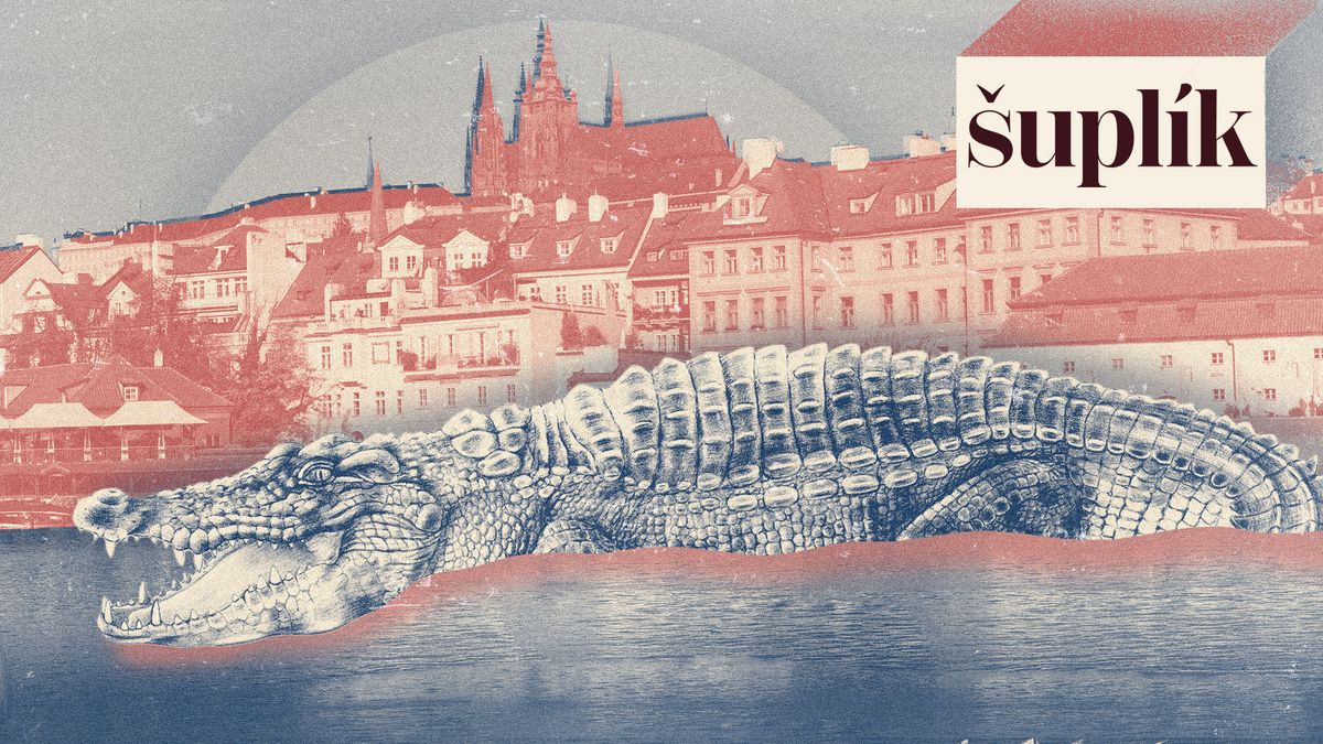 Po řece Vltavě plave krokodýl. Ohýbejte slova, má to smysl